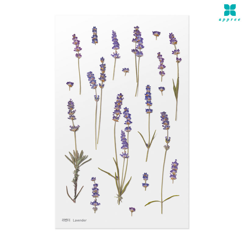 �󺥴� �� ��ȭ��ƼĿ 40��/�ٲٽ�ƼĿ/���̾�ٹ̱�/�ɽ�ƼĿ/�ڿ�����ƼĿ/�ҽý�ƼĿ