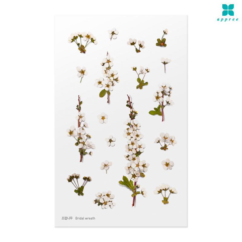 ���˳��� �� ��ȭ��ƼĿ 40��/�ٲٽ�ƼĿ/���̾�ٹ̱�/�ɽ�ƼĿ/�ڿ�����ƼĿ/�ҽý�ƼĿ