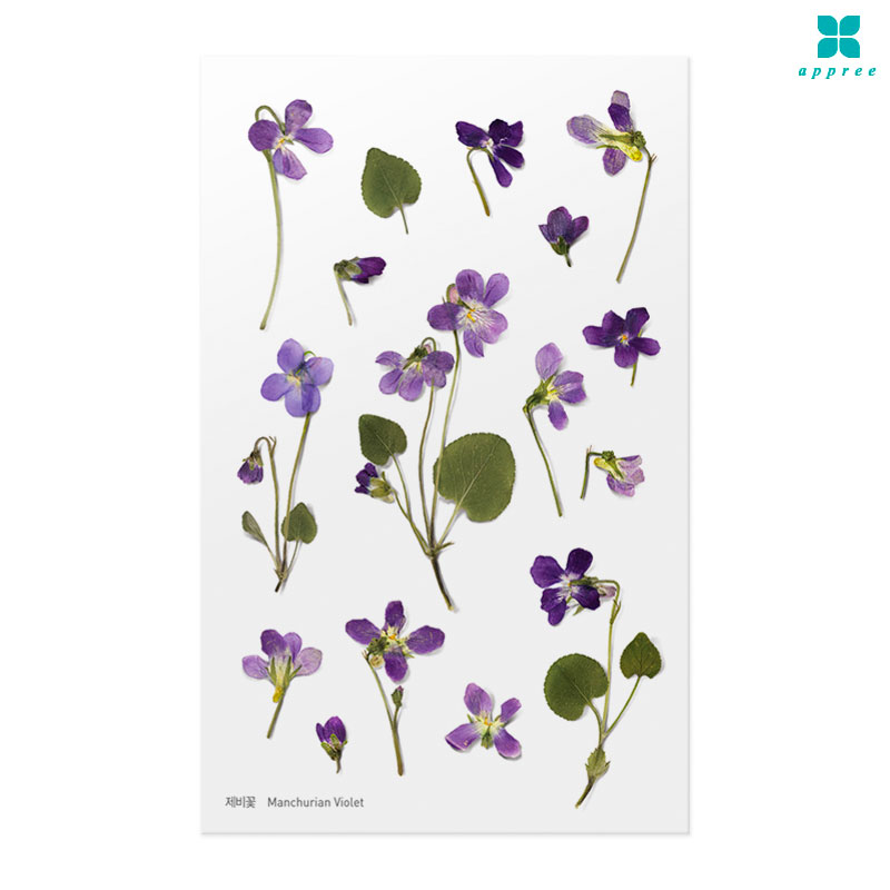 ����� �� ��ȭ��ƼĿ 40��/�ٲٽ�ƼĿ/���̾�ٹ̱�/�ɽ�ƼĿ/�ڿ�����ƼĿ/�ҽý�ƼĿ