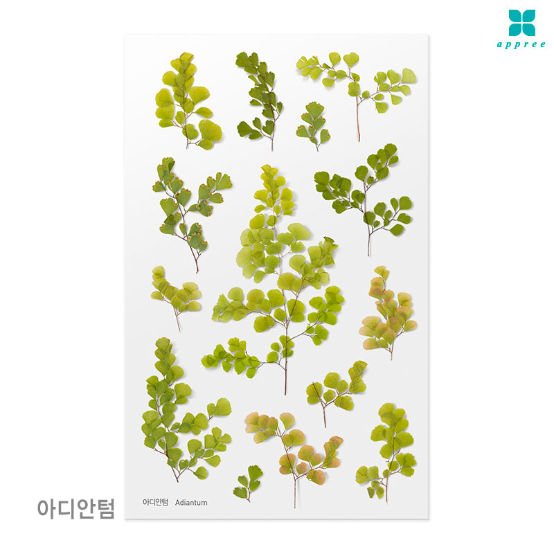 �Ƶ���� �� ��ȭ��ƼĿ 40��/�ٲٽ�ƼĿ/���̾�ٹ̱�/�ɽ�ƼĿ/�ڿ�����ƼĿ/�ҽý�ƼĿ