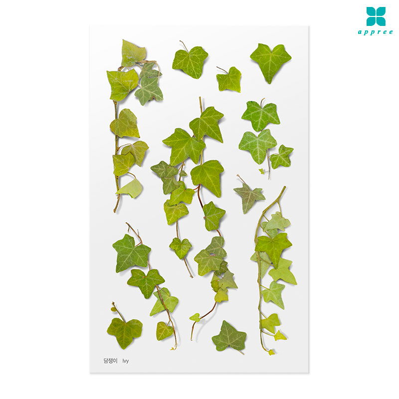 ������ �� ��ȭ��ƼĿ 40��/�ٲٽ�ƼĿ/���̾�ٹ̱�/�ɽ�ƼĿ/�ڿ�����ƼĿ/�ҽý�ƼĿ