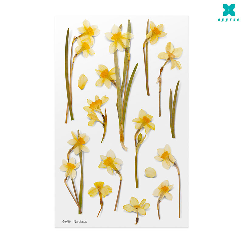 ����ȭ �� ��ȭ��ƼĿ 40��/�ٲٽ�ƼĿ/���̾�ٹ̱�/�ɽ�ƼĿ/�ڿ�����ƼĿ/�ҽý�ƼĿ