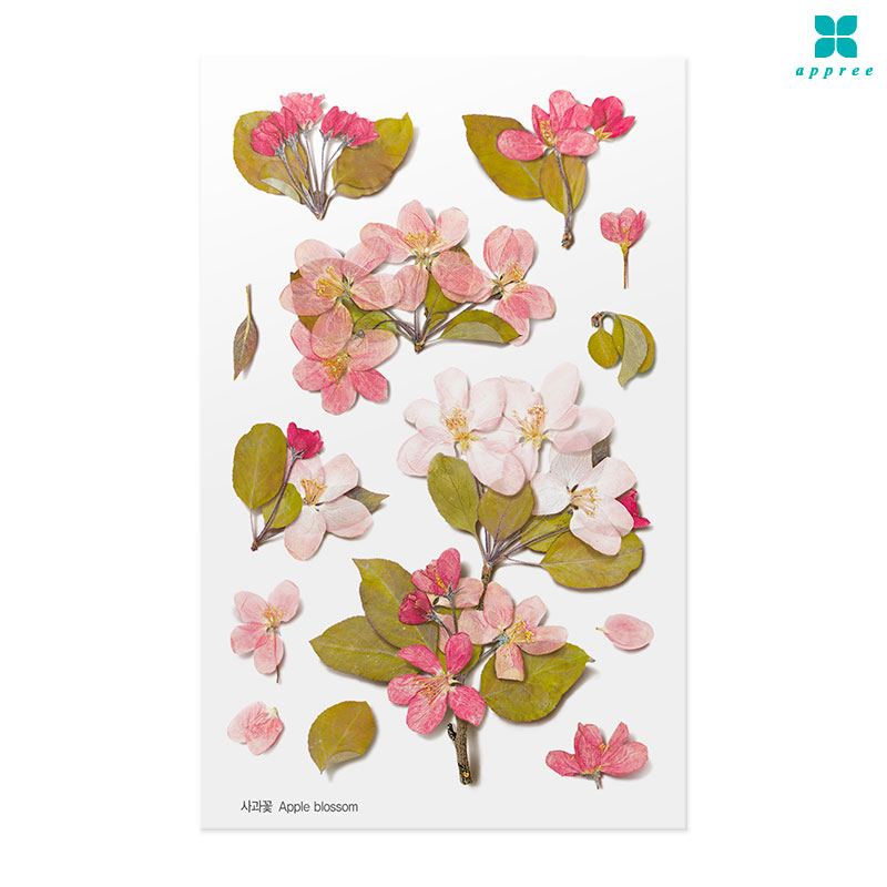 ����� �� ��ȭ��ƼĿ 40��/�ٲٽ�ƼĿ/���̾�ٹ̱�/�ɽ�ƼĿ/�ڿ�����ƼĿ/�ҽý�ƼĿ