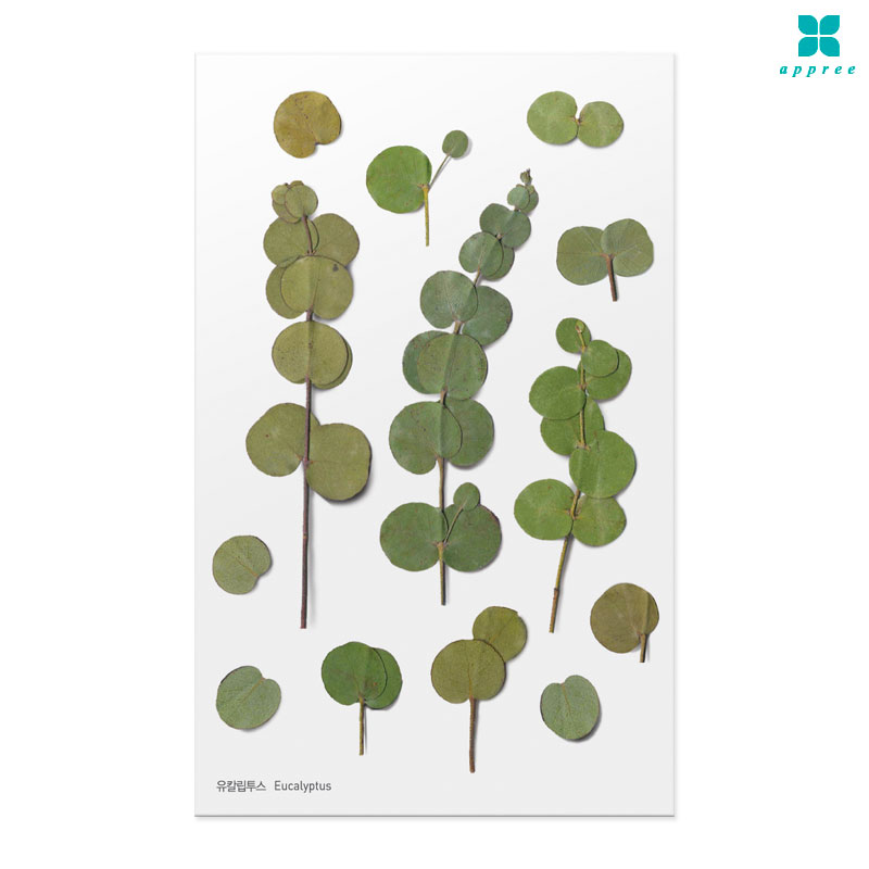 ��Į������ �� ��ȭ��ƼĿ 40��/�ٲٽ�ƼĿ/���̾�ٹ̱�/�ɽ�ƼĿ/�ڿ�����ƼĿ/�ҽý�ƼĿ