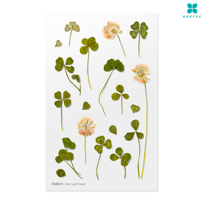 ����Ŭ�ι� �� ��ȭ��ƼĿ 40��/�ٲٽ�ƼĿ/���̾�ٹ̱�/�ɽ�ƼĿ/�ڿ�����ƼĿ/�ҽý�ƼĿ