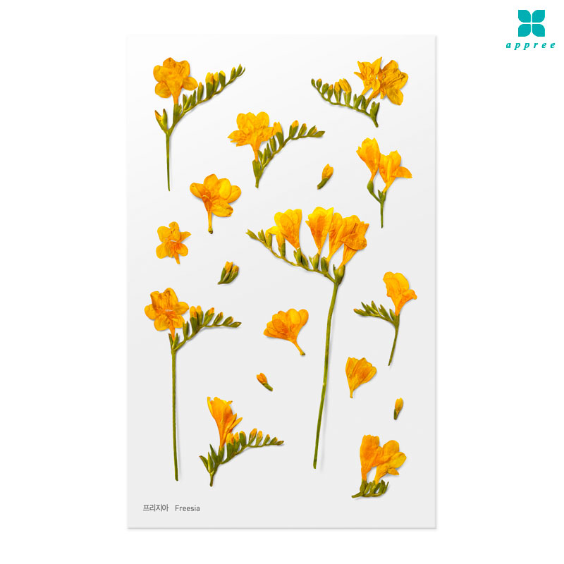 �������� �� ��ȭ��ƼĿ 40��/�ٲٽ�ƼĿ/���̾�ٹ̱�/�ɽ�ƼĿ/�ڿ�����ƼĿ/�ҽý�ƼĿ