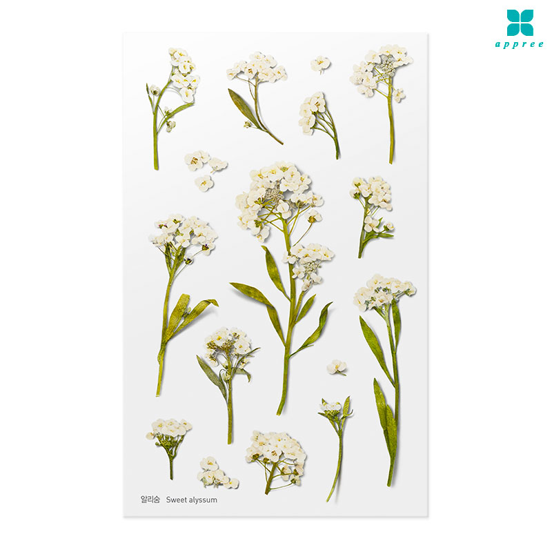 �˸��� �� ��ȭ��ƼĿ 40��/�ٲٽ�ƼĿ/���̾�ٹ̱�/�ɽ�ƼĿ/�ڿ�����ƼĿ/�ҽý�ƼĿ