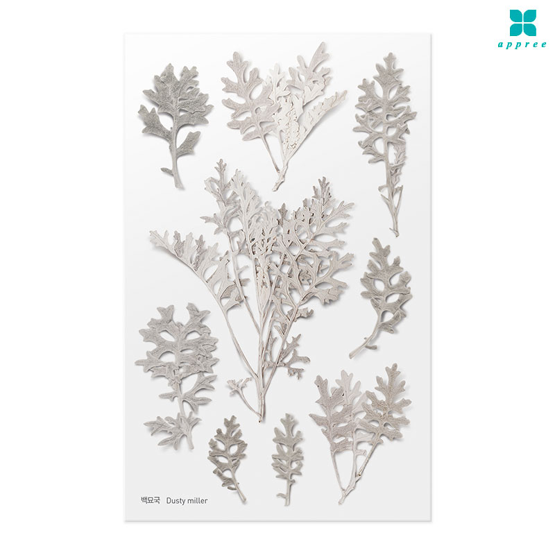 �鹦�� �� ��ȭ��ƼĿ 40��/�ٲٽ�ƼĿ/���̾�ٹ̱�/�ɽ�ƼĿ/�ڿ�����ƼĿ/�ҽý�ƼĿ