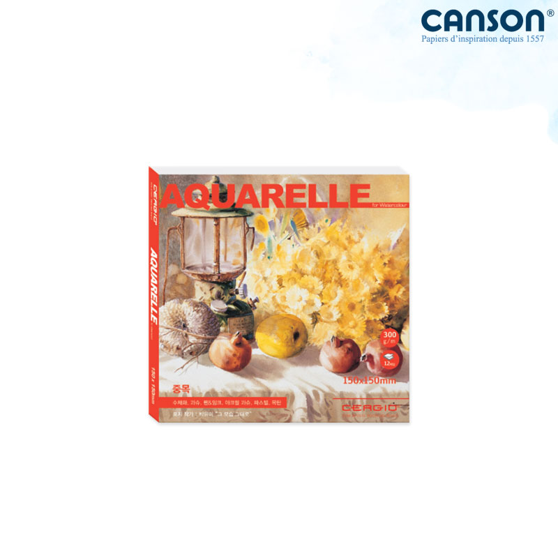 Cergio �������� �����Ʒ� ��ä�е� 300g 15x15cm 12�� 1������/��äȭ����