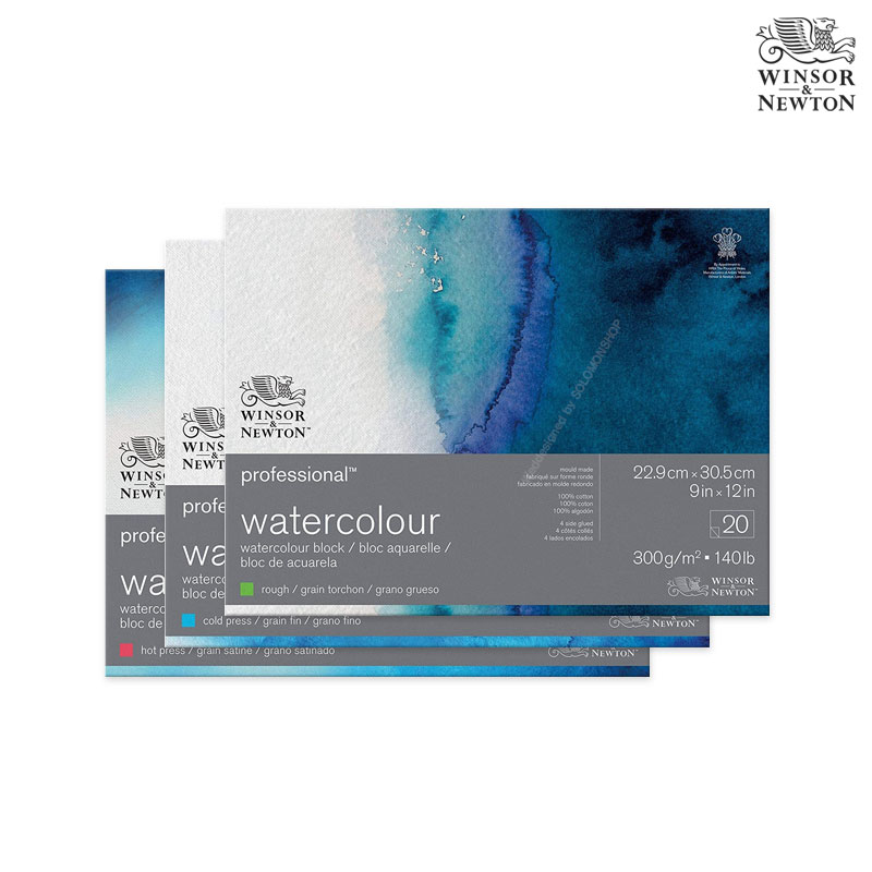 Winsor&Newton �����ش�ư ������ ��ä�е� 300g 23x30.5 20��